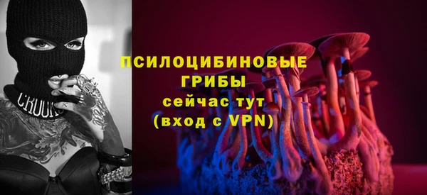 прущий лед Алексин