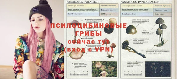 соль курить ск Новозыбков