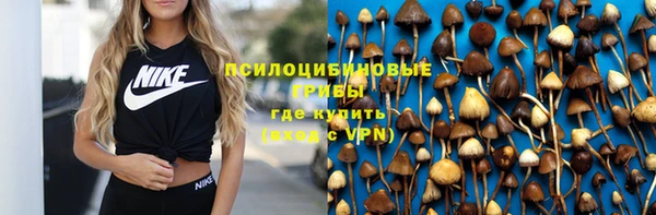 прущий лед Алексин