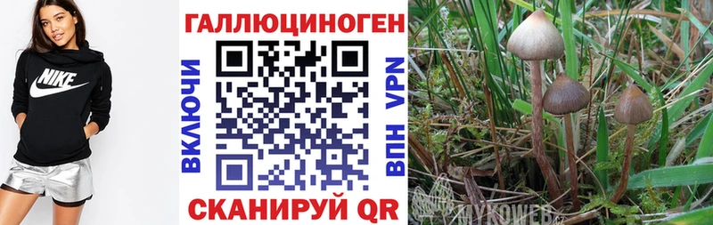 хочу наркоту  МЕГА маркетплейс  Галлюциногенные грибы Magic Shrooms  Пермь 